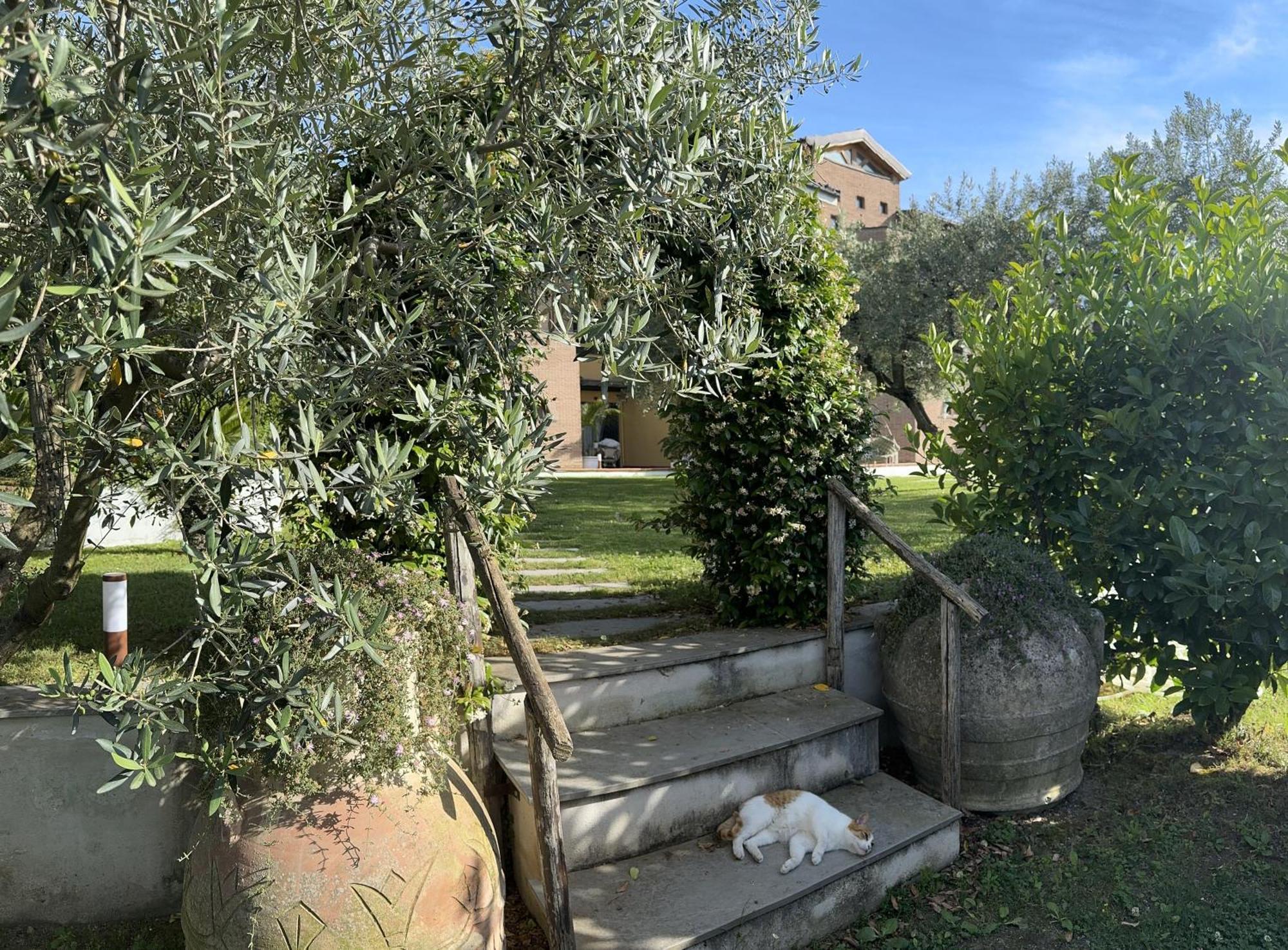 Villa C Luxury Estate Sant'Antonio Abate Exterior photo